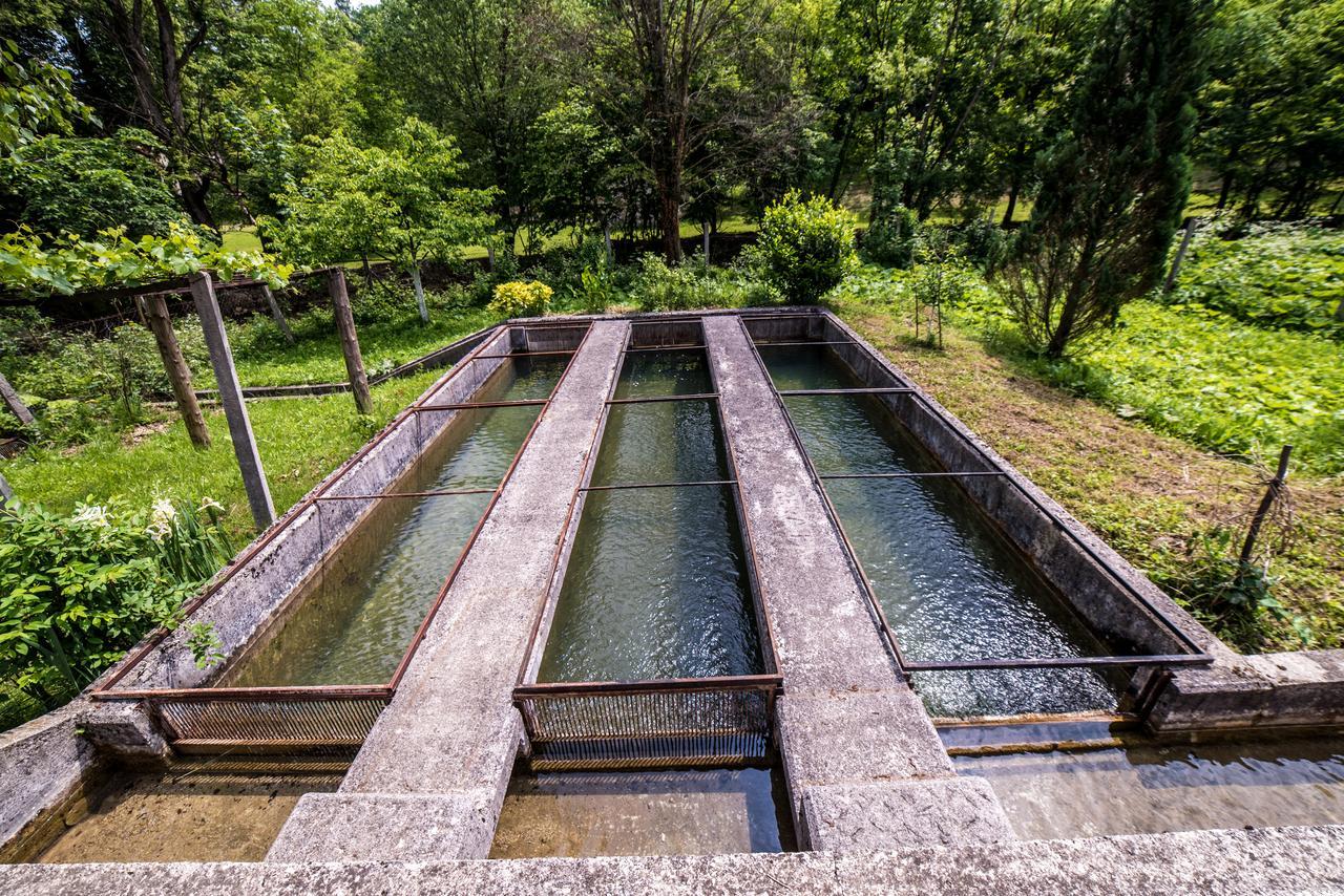 Villa Eko House Dobrenica Bihać Exterior foto