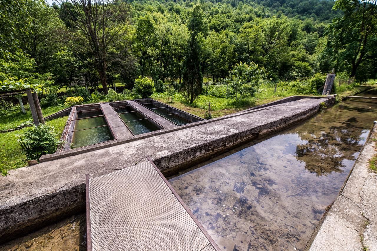 Villa Eko House Dobrenica Bihać Exterior foto